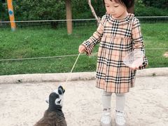 -杭州野生动物世界