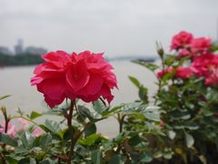 -龙美术馆(西岸馆)