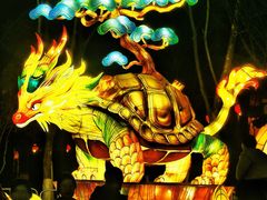 -武汉园博园(武汉自然博物馆)