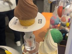 -野人先生Gelato(上海长宁龙之梦店)