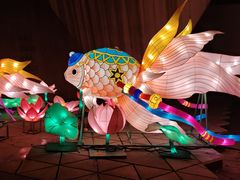 -武汉园博园(武汉自然博物馆)