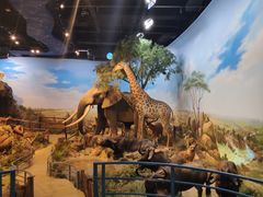 -陕西自然博物馆