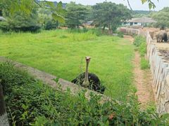 -沈阳森林动物园