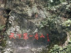 -王顺山国家森林公园
