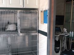 -安安宠医·安宠宠物医院