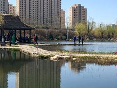 -前关湿地公园