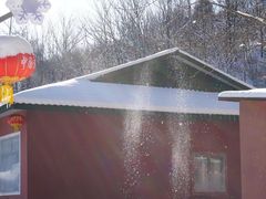 -雪谷