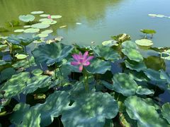 -南戴河国际娱乐中心