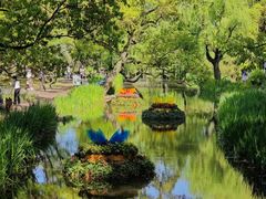 -上海共青森林公园