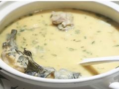 团鱼-尽膳·鱼鲜川菜(宽窄巷子店)