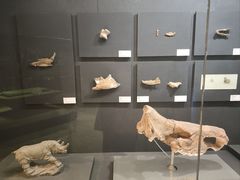 -北京周口店北京人遗址博物馆