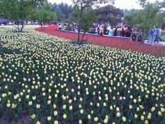 -长春公园(普阳街道)