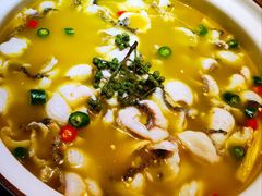招牌青花椒-青花椒花椒鱼(新百店)