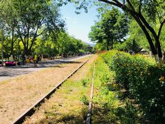 -永定河休闲森林公园