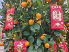 -浦江城市生活广场(江月路店)