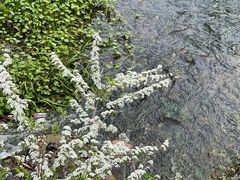 -中国茶叶博物馆(双峰馆区)