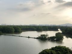 -大湾区中央湿地公园