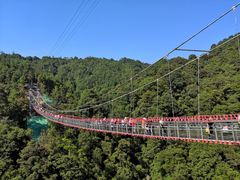 -九龙江国家森林公园