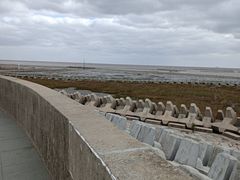 -南汇嘴观海公园