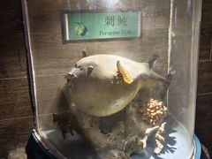 -太平洋海底世界