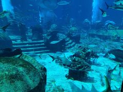 -亚特兰蒂斯•OSSIANO奥西亚诺海底餐厅
