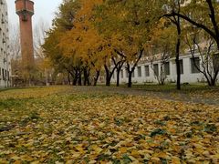 -中国建设银行哈尔滨培训中心