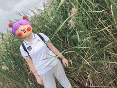 -盐城丹顶鹤湿地生态旅游区