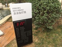 -思念果岭悦温泉