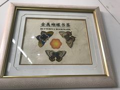 -上海昆虫博物馆