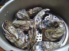高压锅生蚝-蟹记蚝宅(柯桥兴越路店)