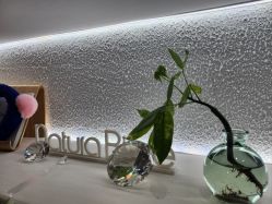 -薇薇安花系SPA