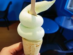 -萨朗刀克冰淇淋雪花凉(植物园店)