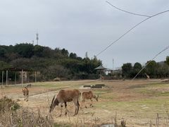 -宁波野生动物园
