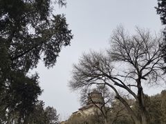 -颐和园