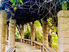 -南开大学滨海学院