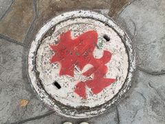 -史努比缤纷世界