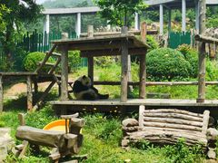 -大连森林动物园