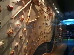 -中国湿地博物馆