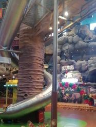 -卡通尼·Safari非洲探索乐园·生日会(金桥国际商业广场店)