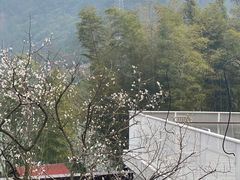 -原乡芦茨咖啡