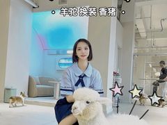 -怪兽屋·羊驼·猫咖·狗咖(俊华广场店)