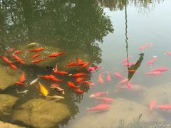 -中国茶叶博物馆(双峰馆区)