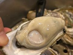 -土蚝·高压锅生蚝(百姓美食街店)
