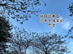 -火炉山森林公园