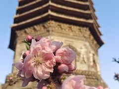 -玲珑塔公园