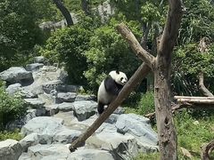 -宁波野生动物园
