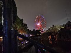 -南湖梦幻岛