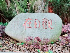 -峨眉山风景名胜区