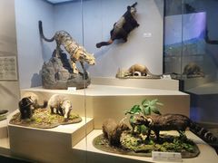 -武汉园博园(武汉自然博物馆)