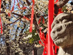 -西安青龙寺遗址景区